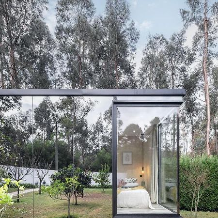 Villa No Jardim Dos Aromas Gião Zewnętrze zdjęcie