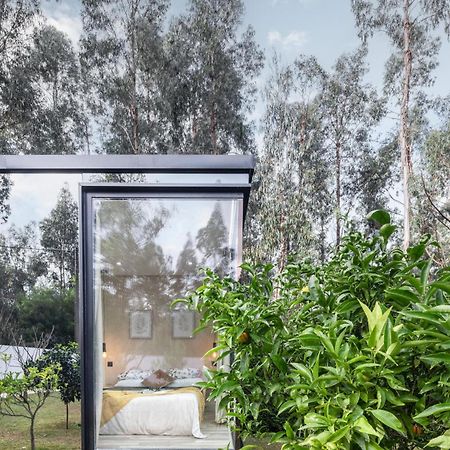 Villa No Jardim Dos Aromas Gião Zewnętrze zdjęcie